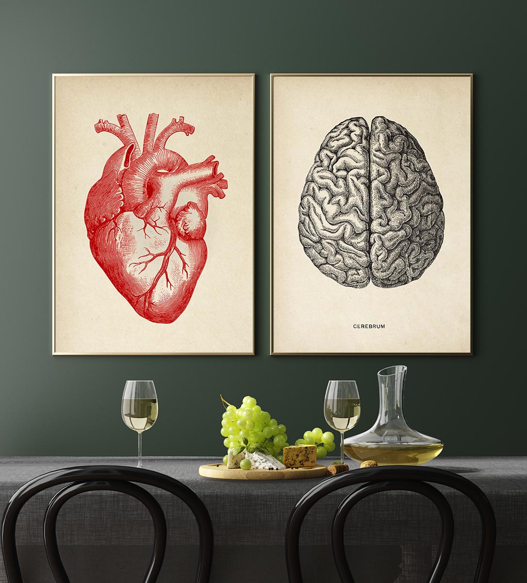 Anatomy