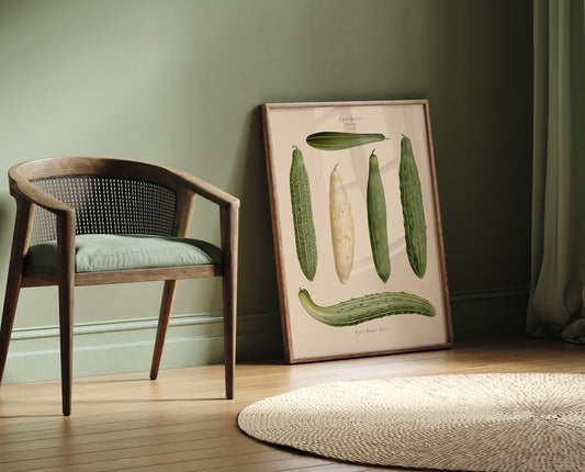 Cucumbers Chart Botanical Poster