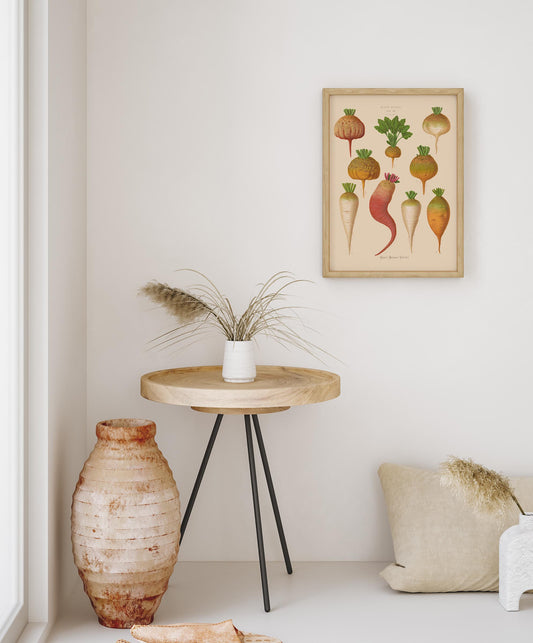 Mangel Wurzels Chart Botanical Poster