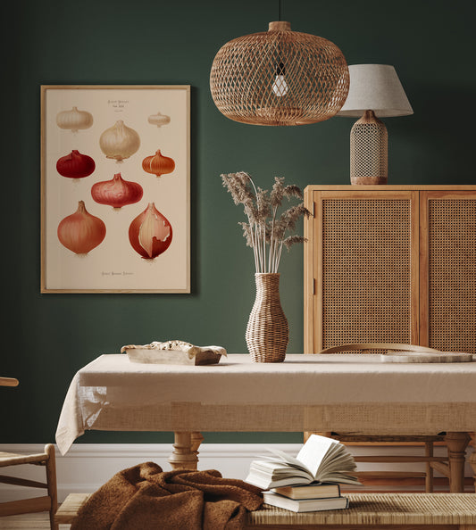 Onions Chart Botanical Poster