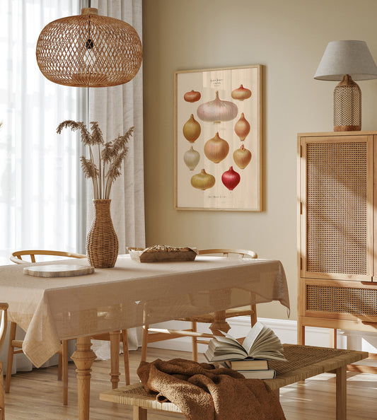 Onions Chart Nr 3 Botanical Poster