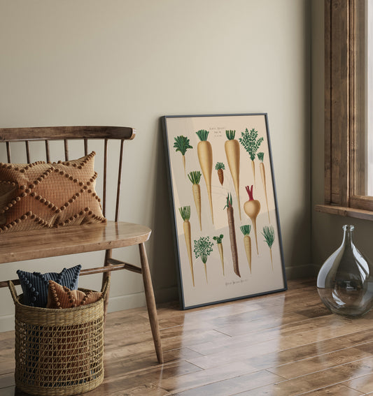 Culinary Roots Chart Botanical Poster