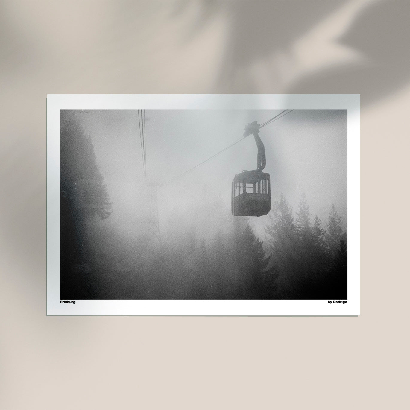 Freiburg Photo Print by Alemanizando