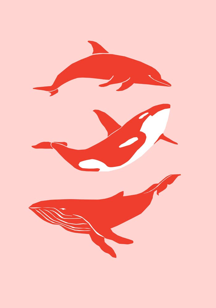 Whale & Dolphin Pink Poster