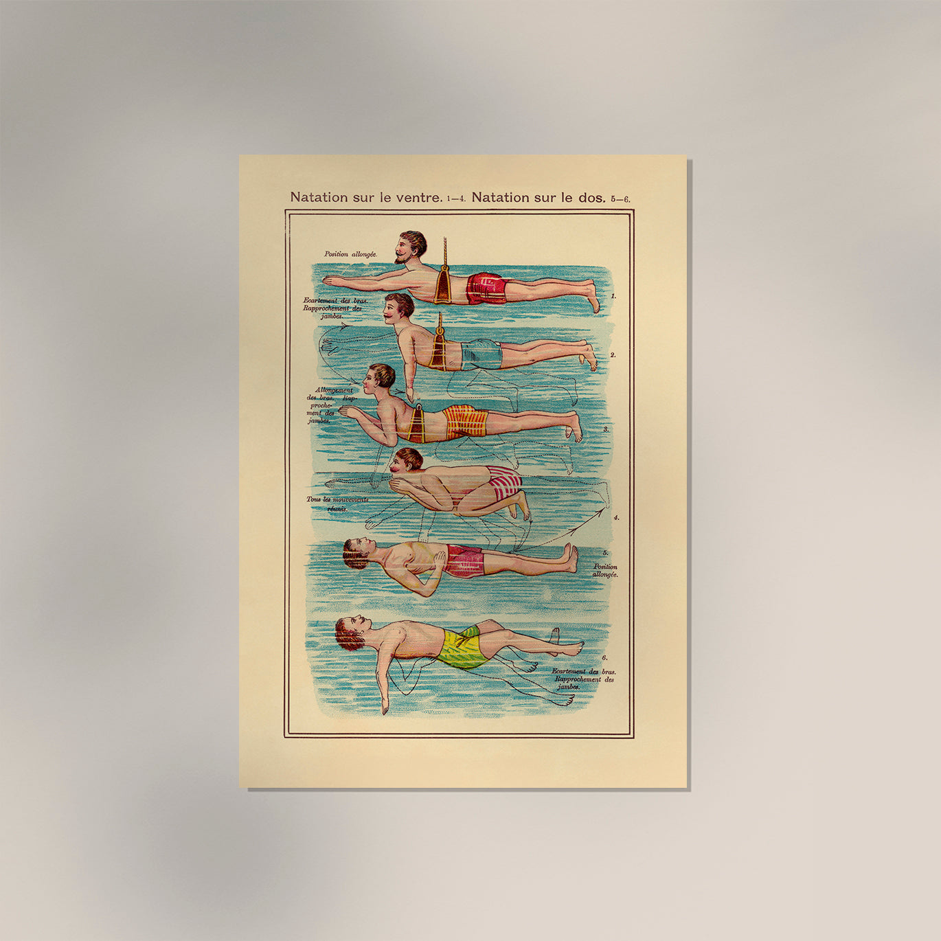 The Swimmer