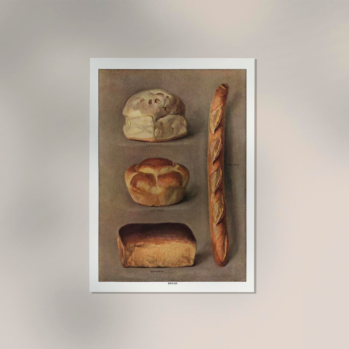 Bread Varieties I Vintage Poster