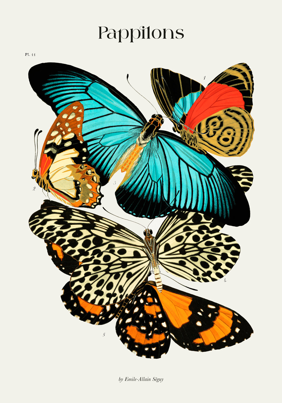Pappilons plate 11 by Séguy Art Poster