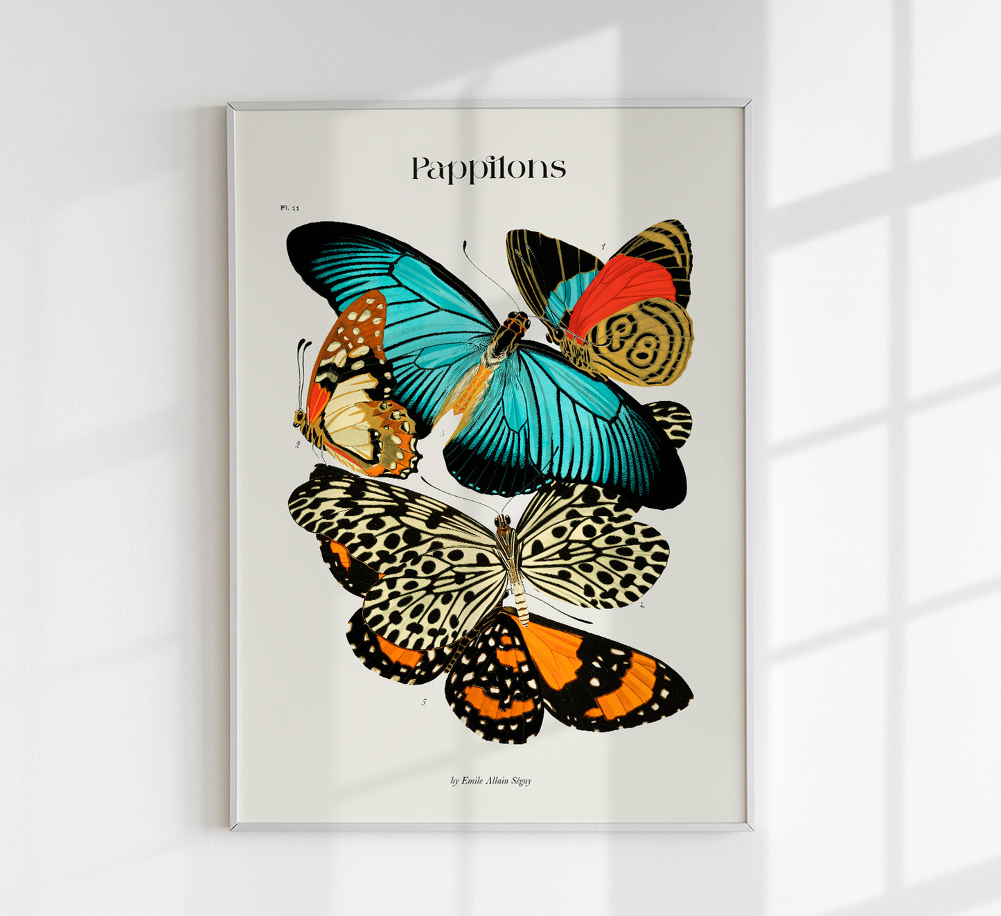 Pappilons plate 11 by Séguy Art Poster