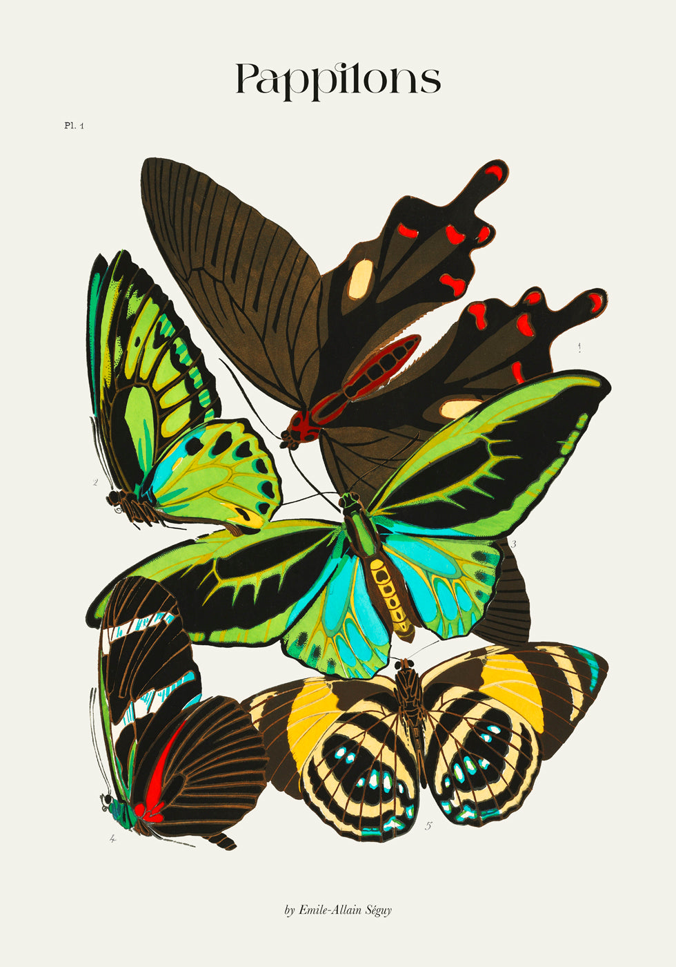 Pappilons plate 1 by Séguy Art Poster