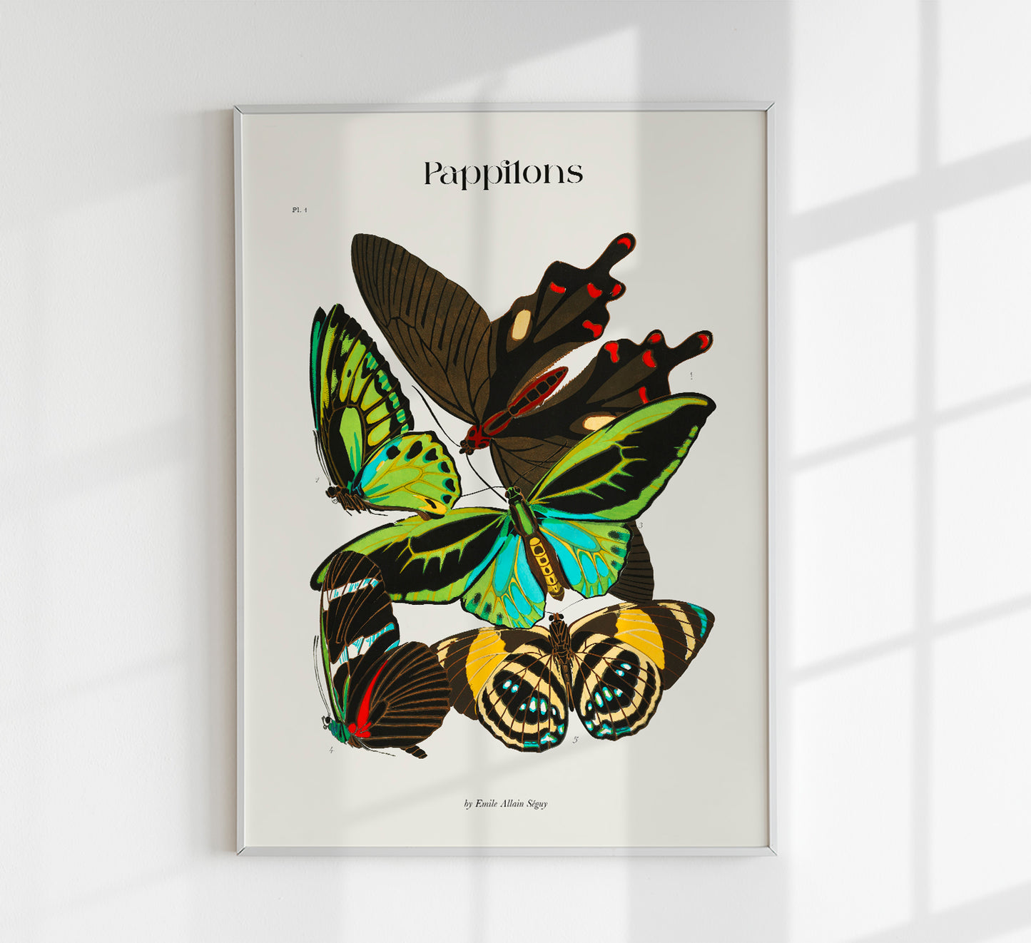 Pappilons plate 1 by Séguy Art Poster