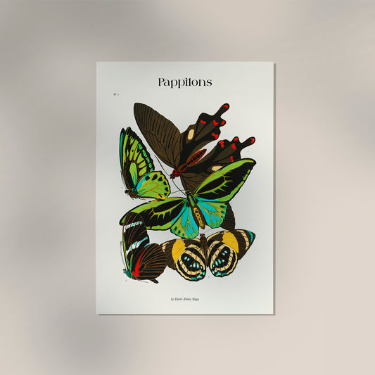 Pappilons plate 1 by Séguy Art Poster