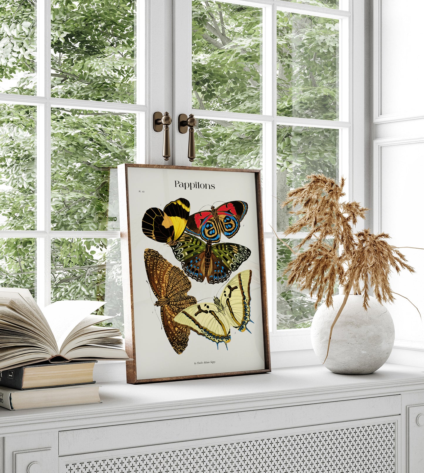 Pappilons plate 12 by Séguy Art Poster