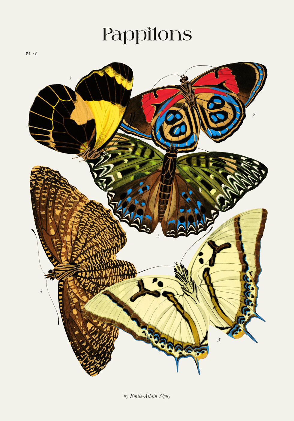 Pappilons plate 12 by Séguy Art Poster