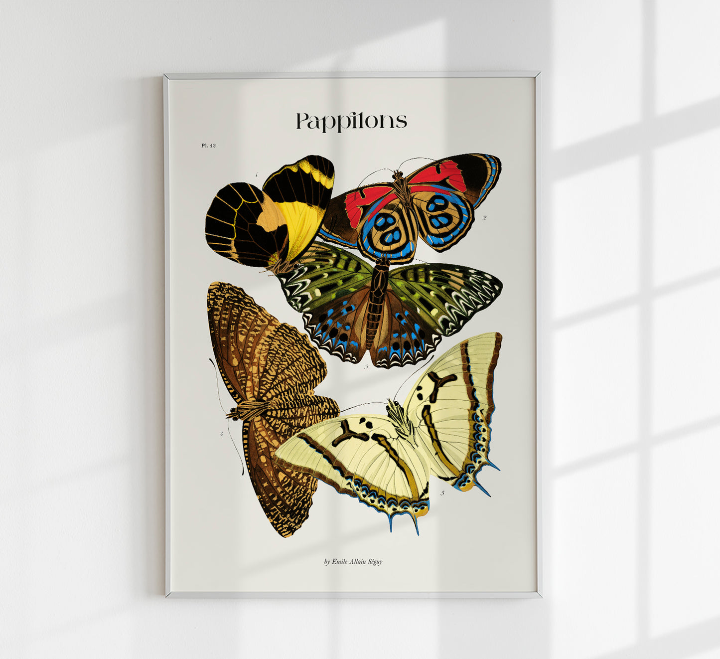 Pappilons plate 12 by Séguy Art Poster