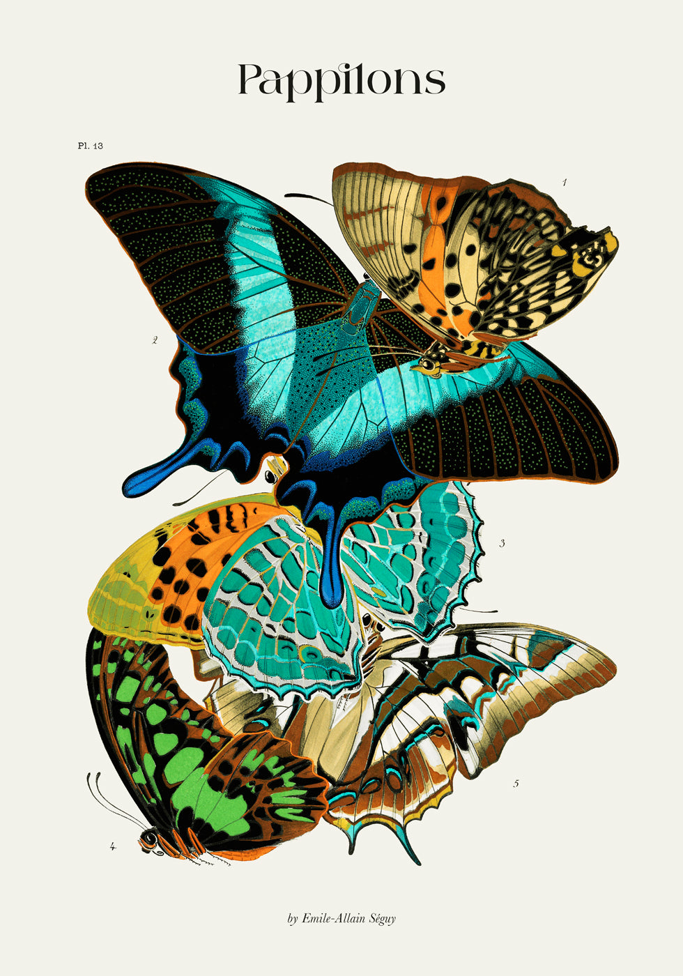 Pappilons plate 13 by Séguy Art Poster