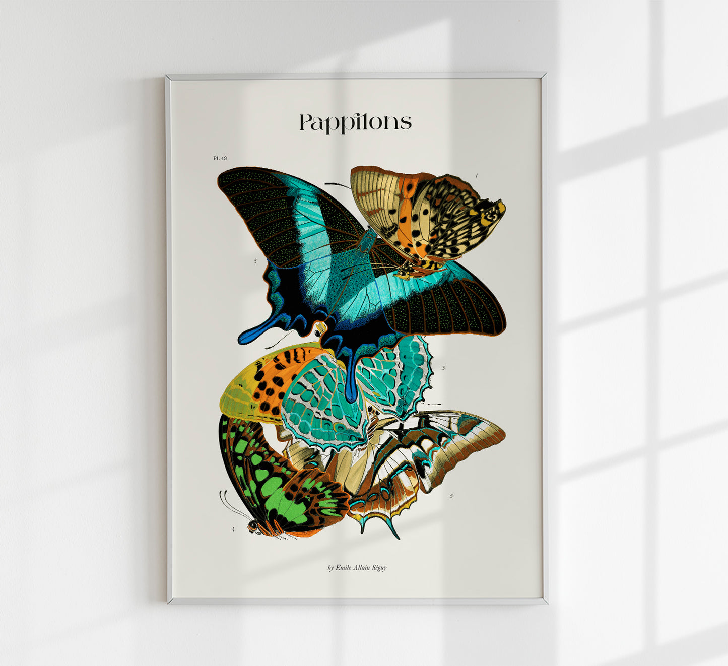 Pappilons plate 13 by Séguy Art Poster