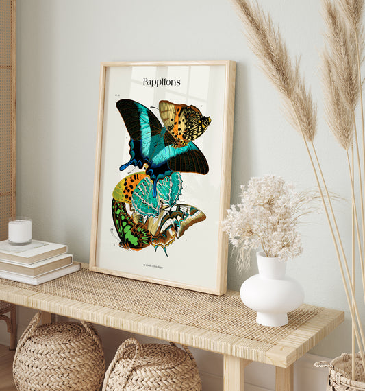 Pappilons plate 13 by Séguy Art Poster