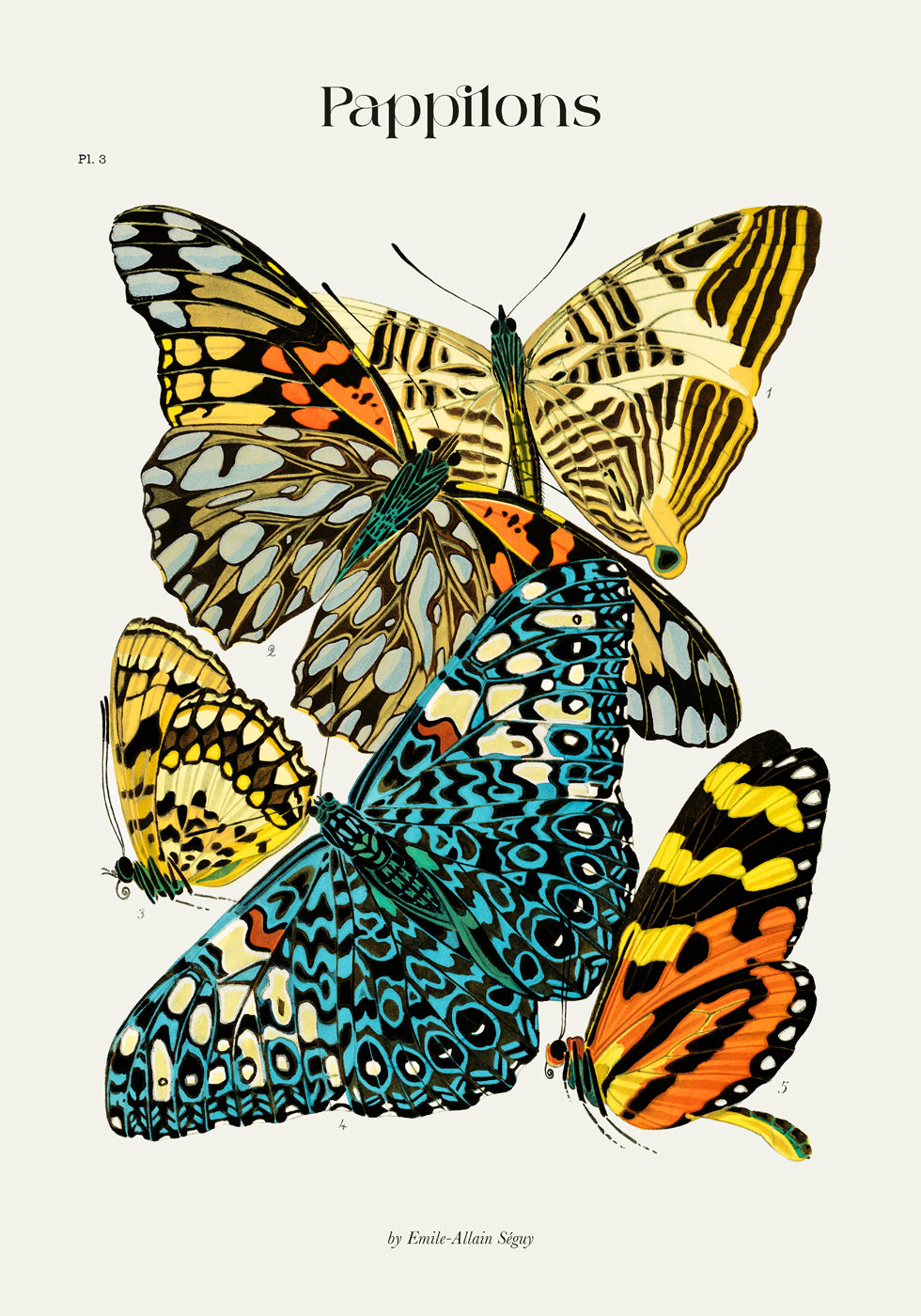 Pappilons plate 3 by Séguy Art Poster