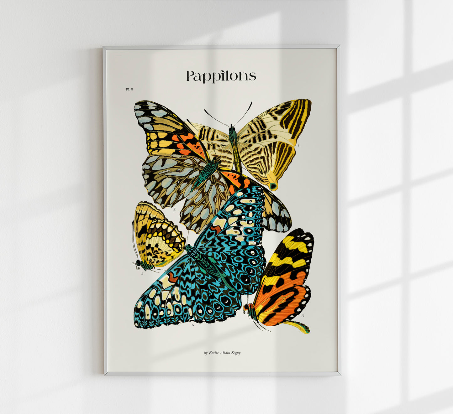 Pappilons plate 3 by Séguy Art Poster