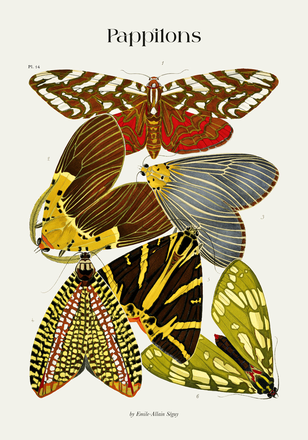 Pappilons plate 14 by Séguy Art Poster