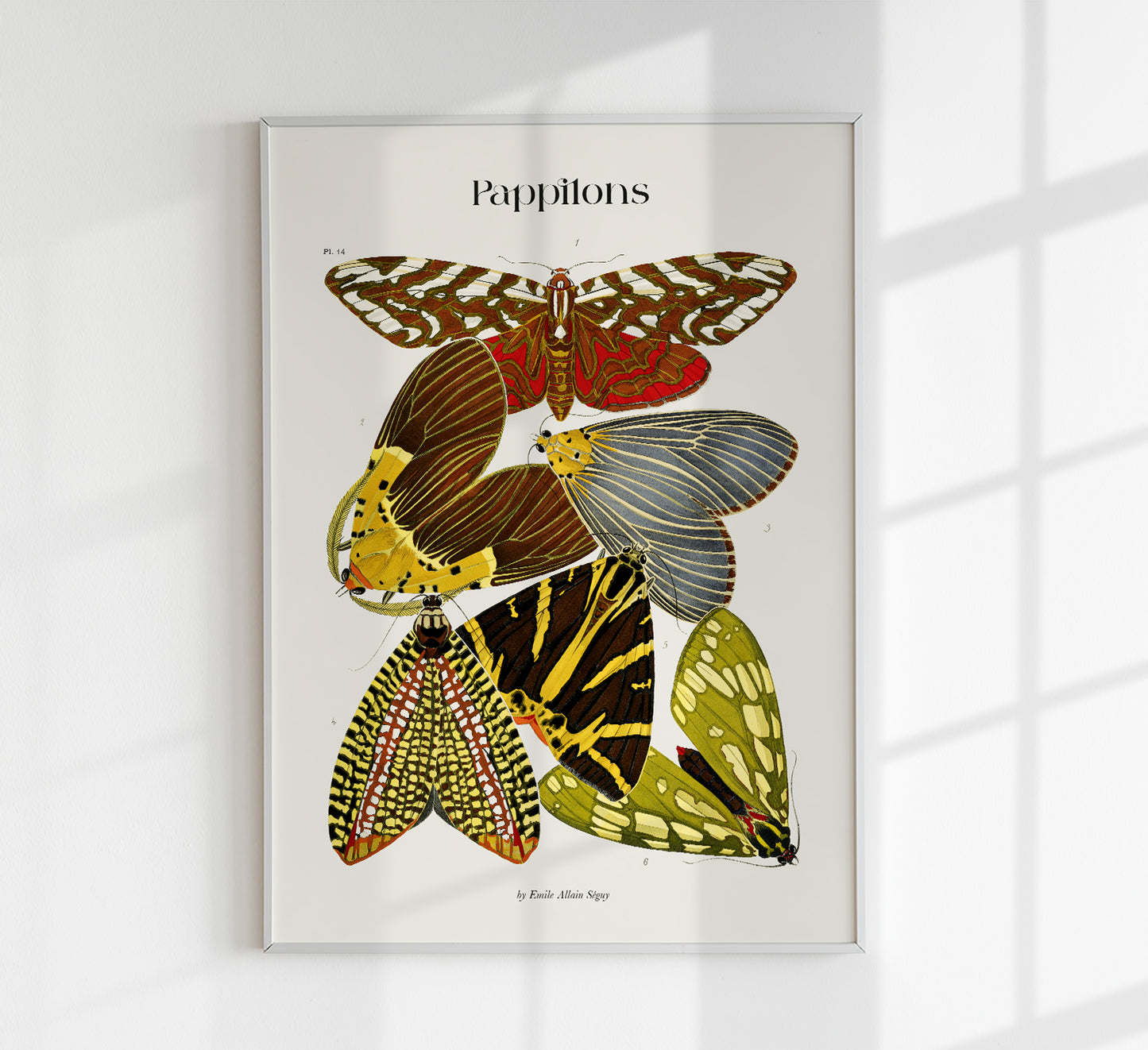 Pappilons plate 14 by Séguy Art Poster