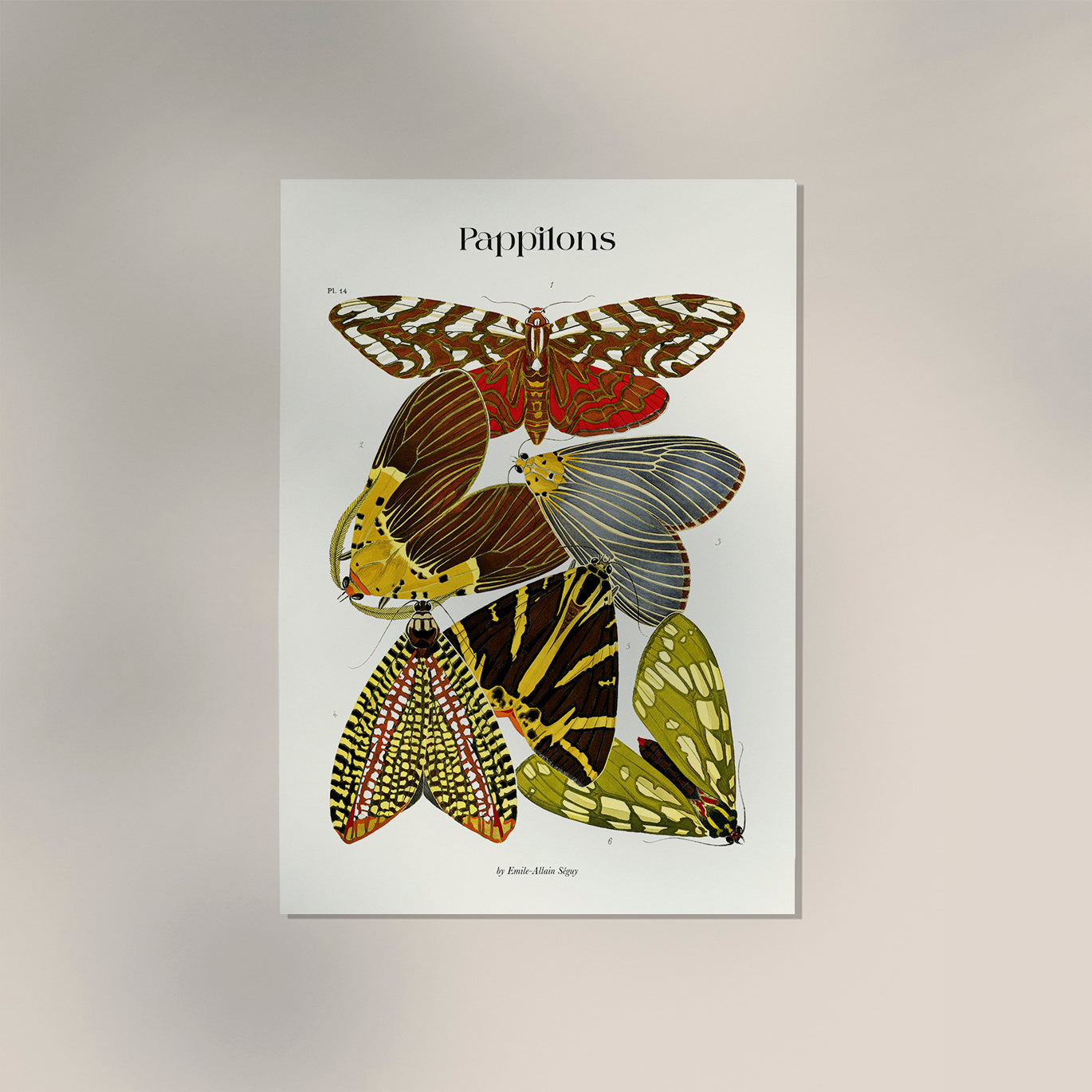 Pappilons plate 14 by Séguy Art Poster