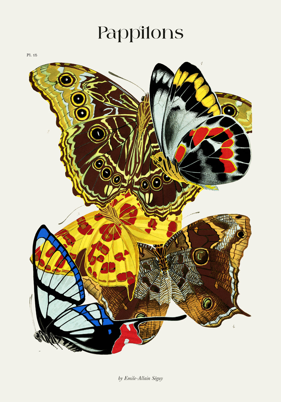 Pappilons plate 15 by Séguy Art Poster