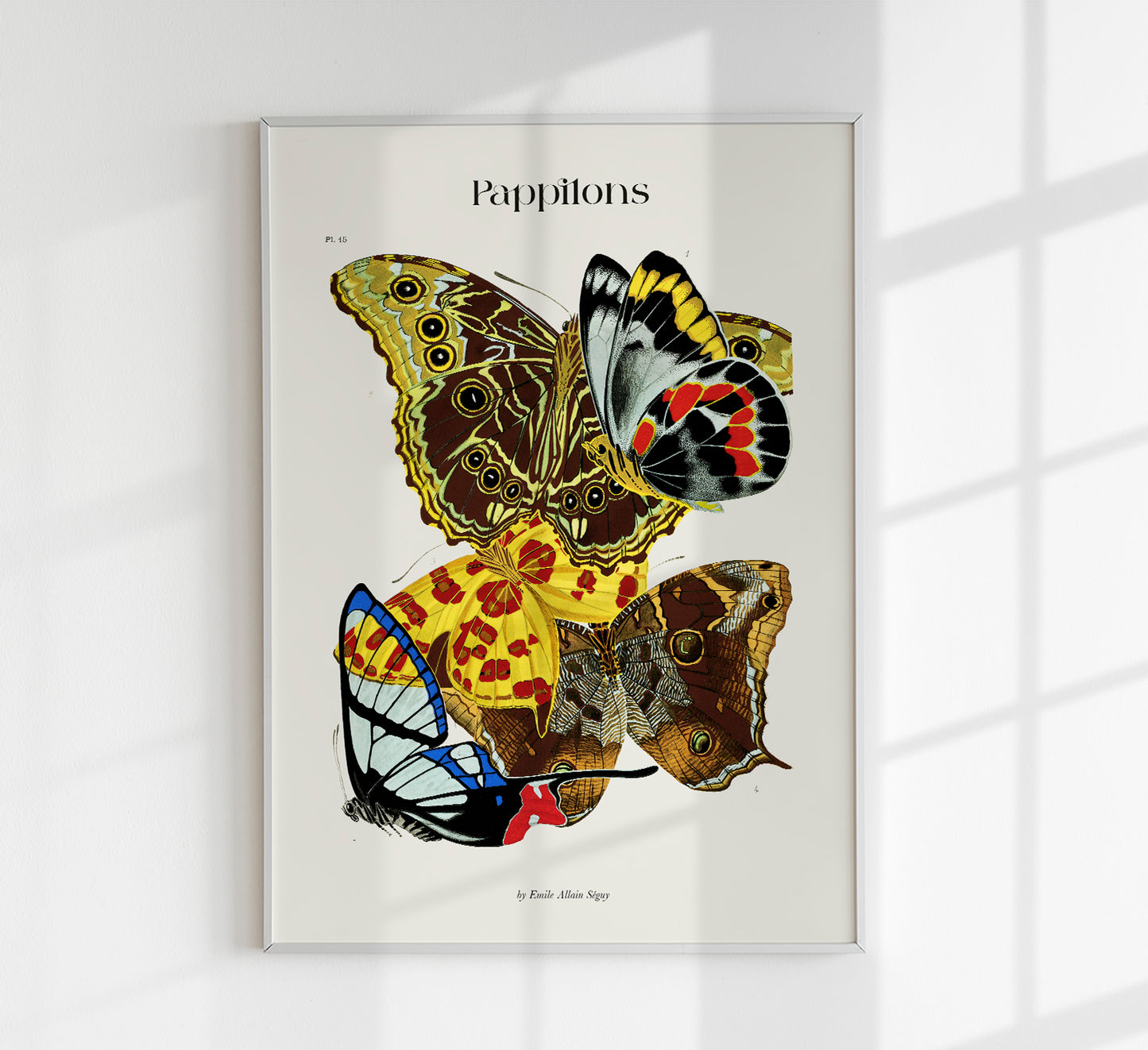 Pappilons plate 15 by Séguy Art Poster
