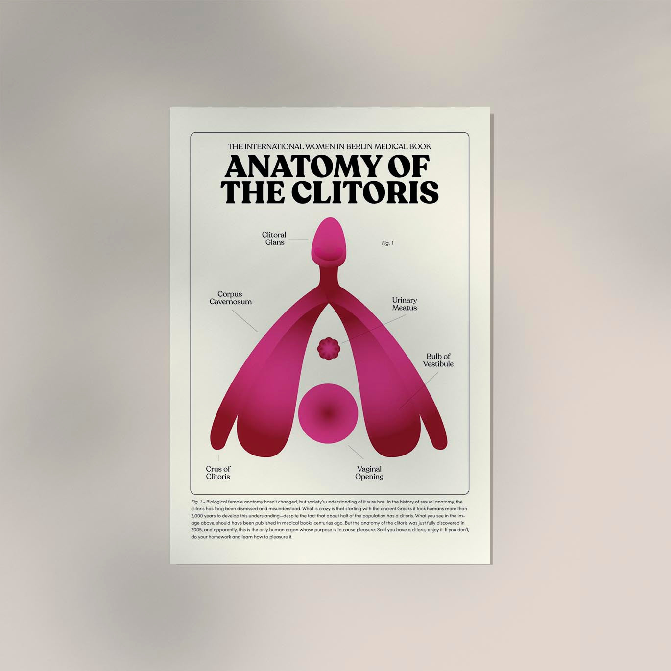 Anatomy of Clitoris