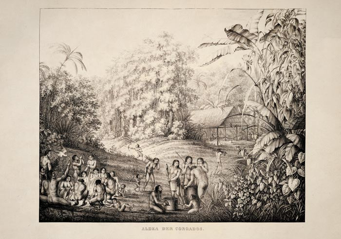 Coroados Indigenous Tribe Anthropology Vintage Poster
