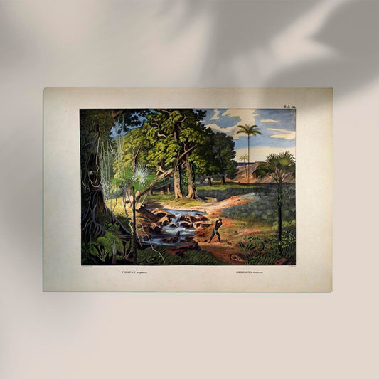 Colourful Jungle Scene Vintage Poster