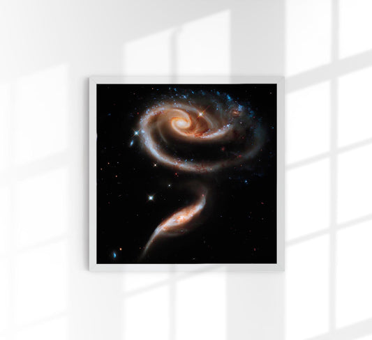 Rose of Galaxies by NASA