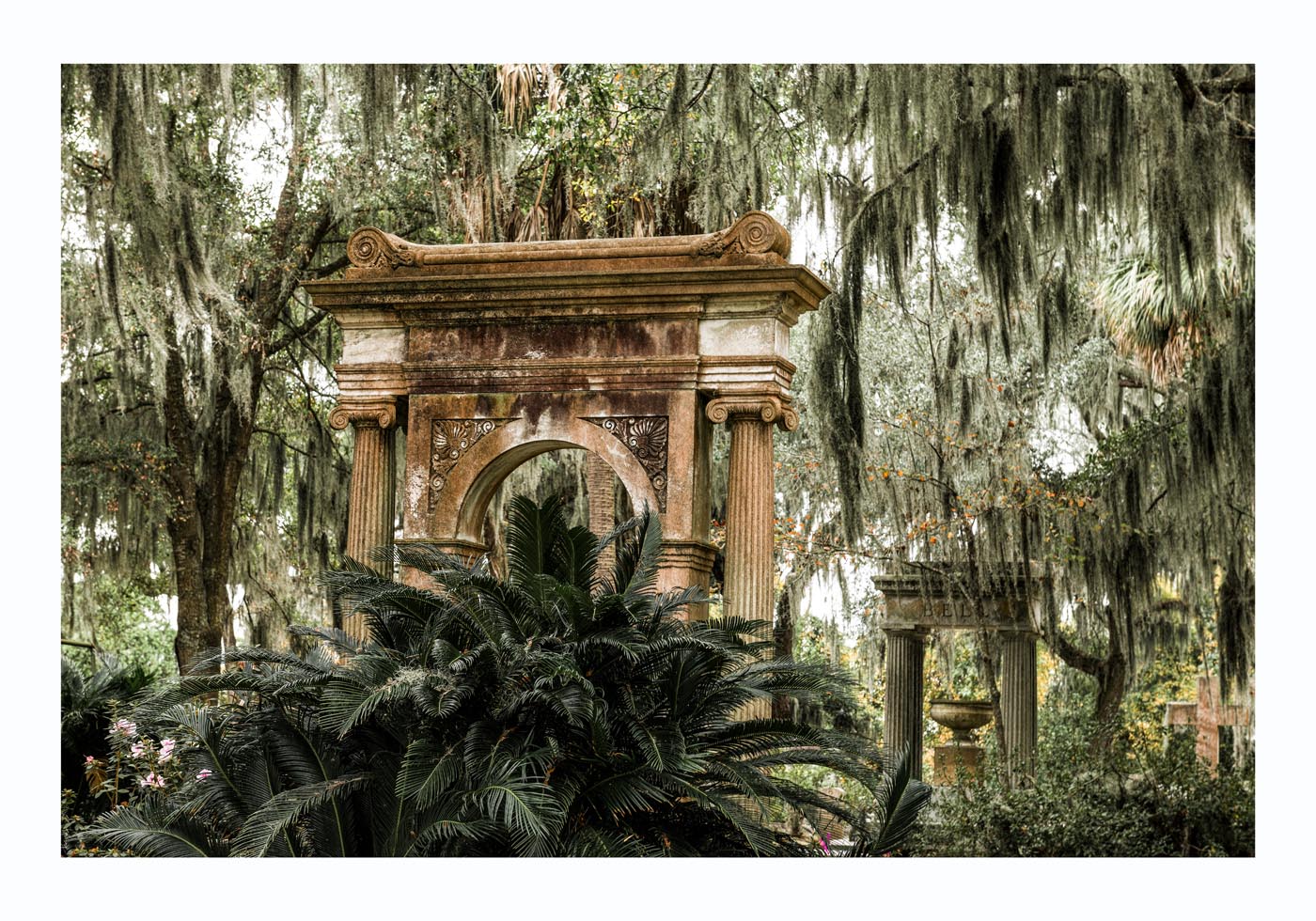 oak trees in Spanish historic Bonaventure Cemetery by Carol M. Highsmith