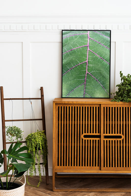 Natural Veins at Botanische Garten Photo Print