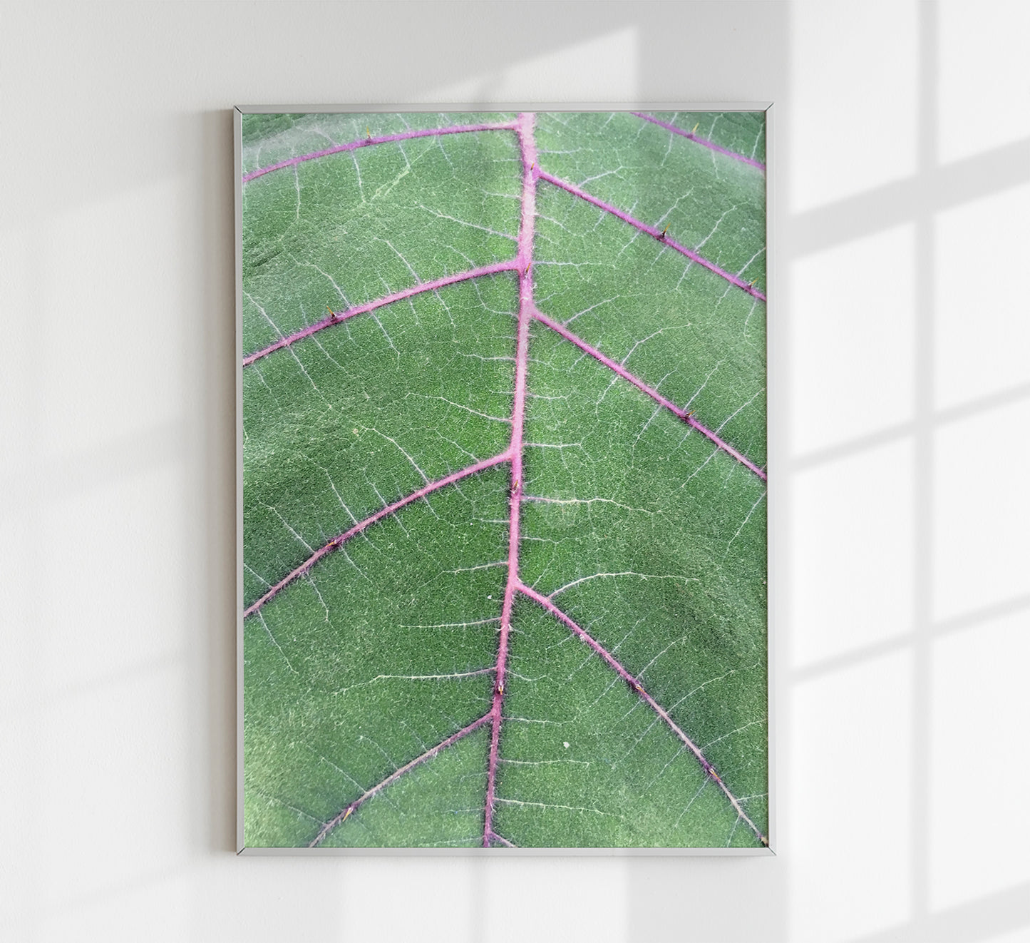 Natural Veins at Botanische Garten Photo Print