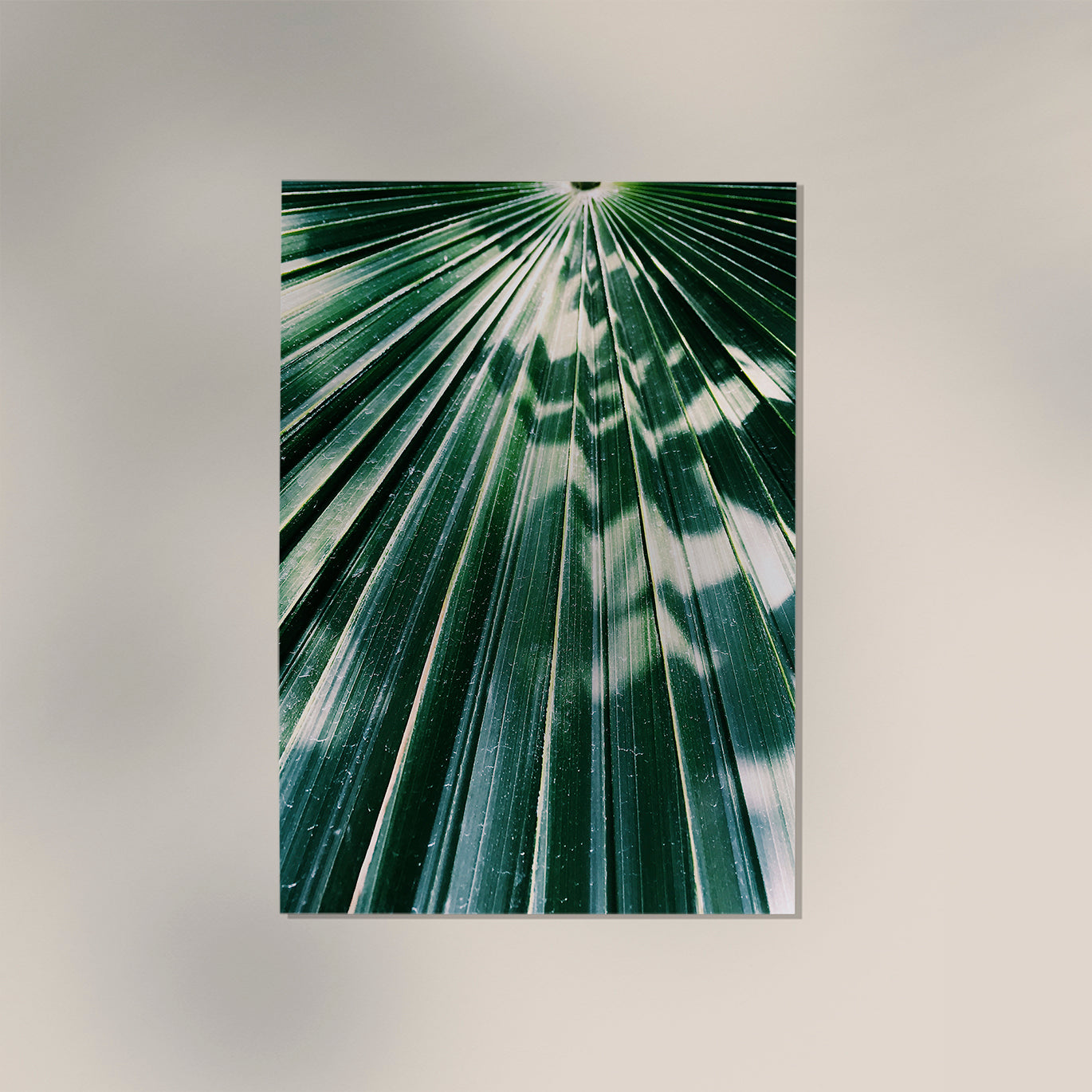 Shades of Sunlight at Botanische Garten Photo Print