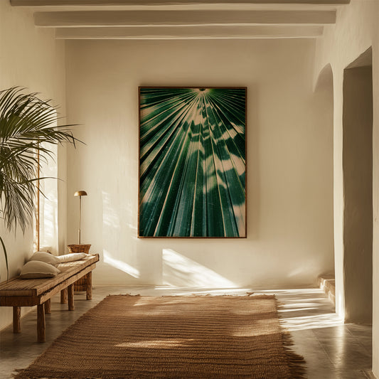 Shades of Sunlight at Botanische Garten Photo Print