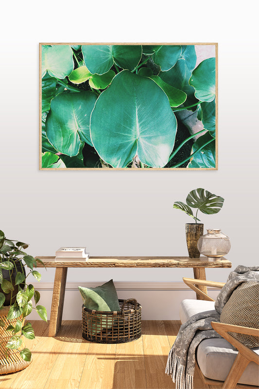 Green Leafs at Botanische Garten Photo Print