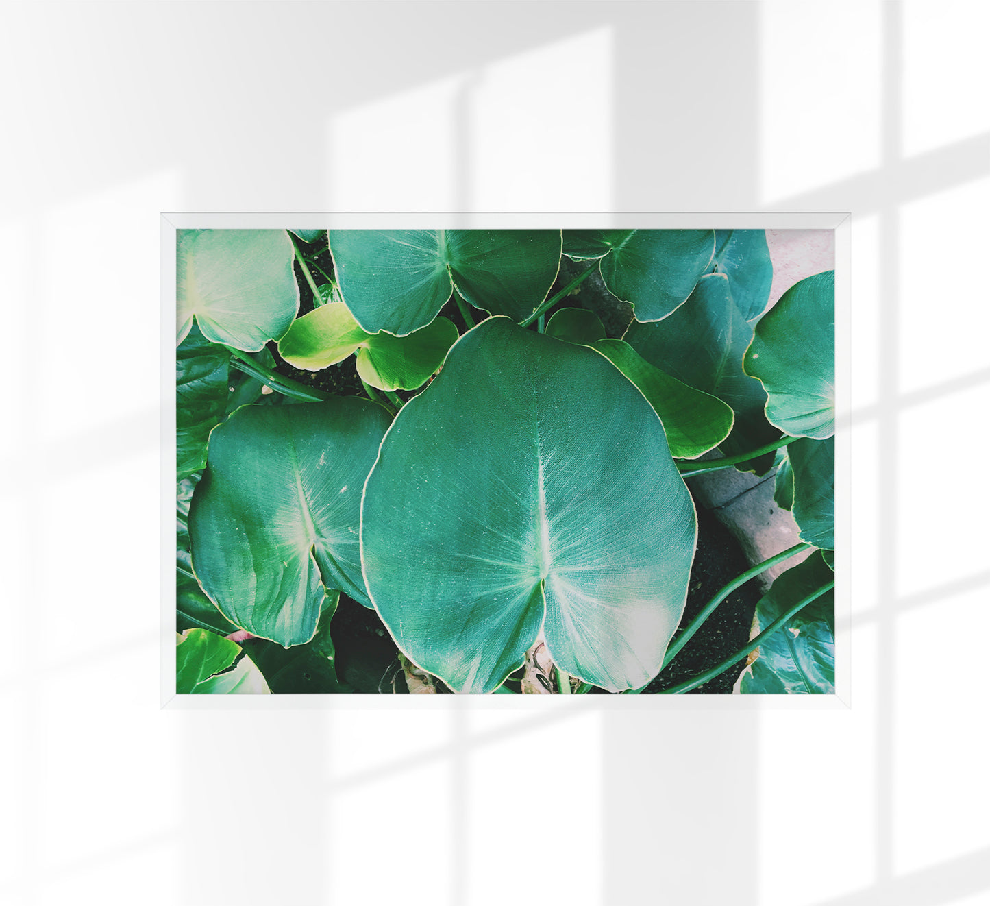 Green Leafs at Botanische Garten Photo Print