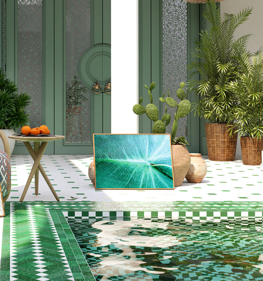 Leaf in Detail at Botanische Garten Photo Print