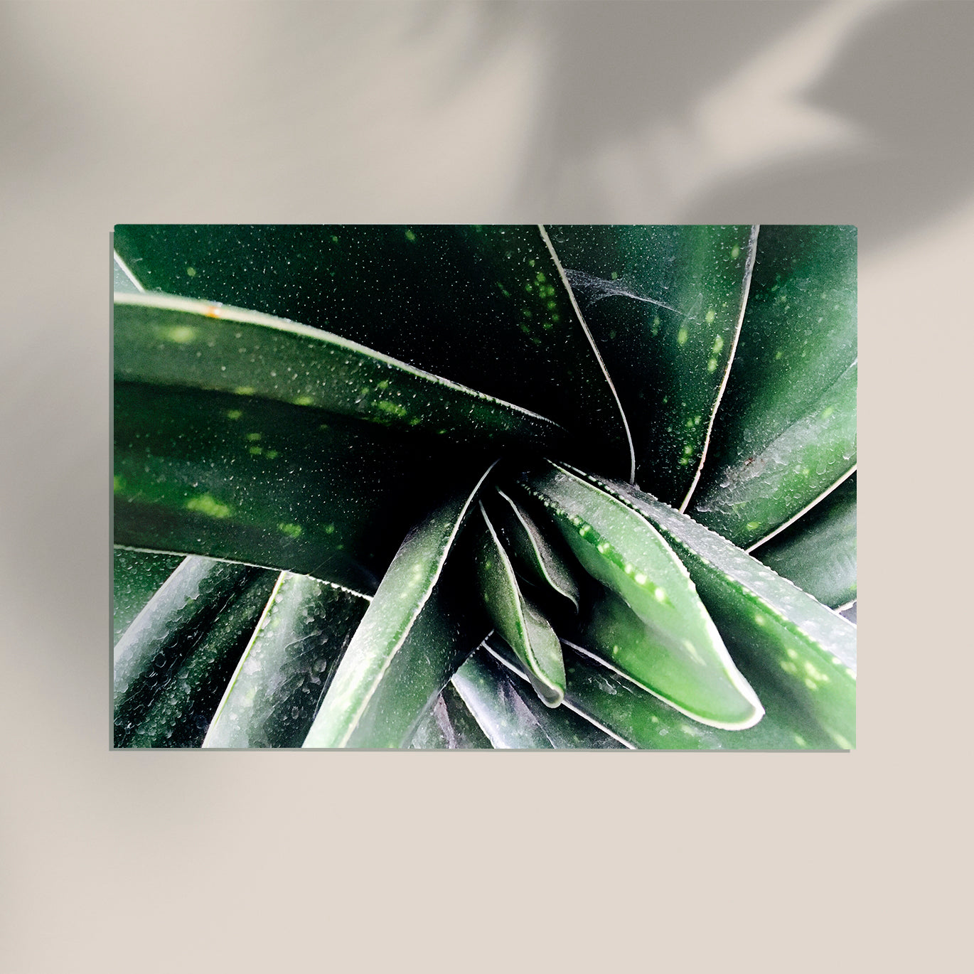 Plant in Detail at Botanische Garten Photo Print