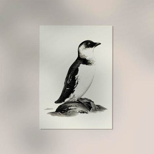 Antique Penguin Poster
