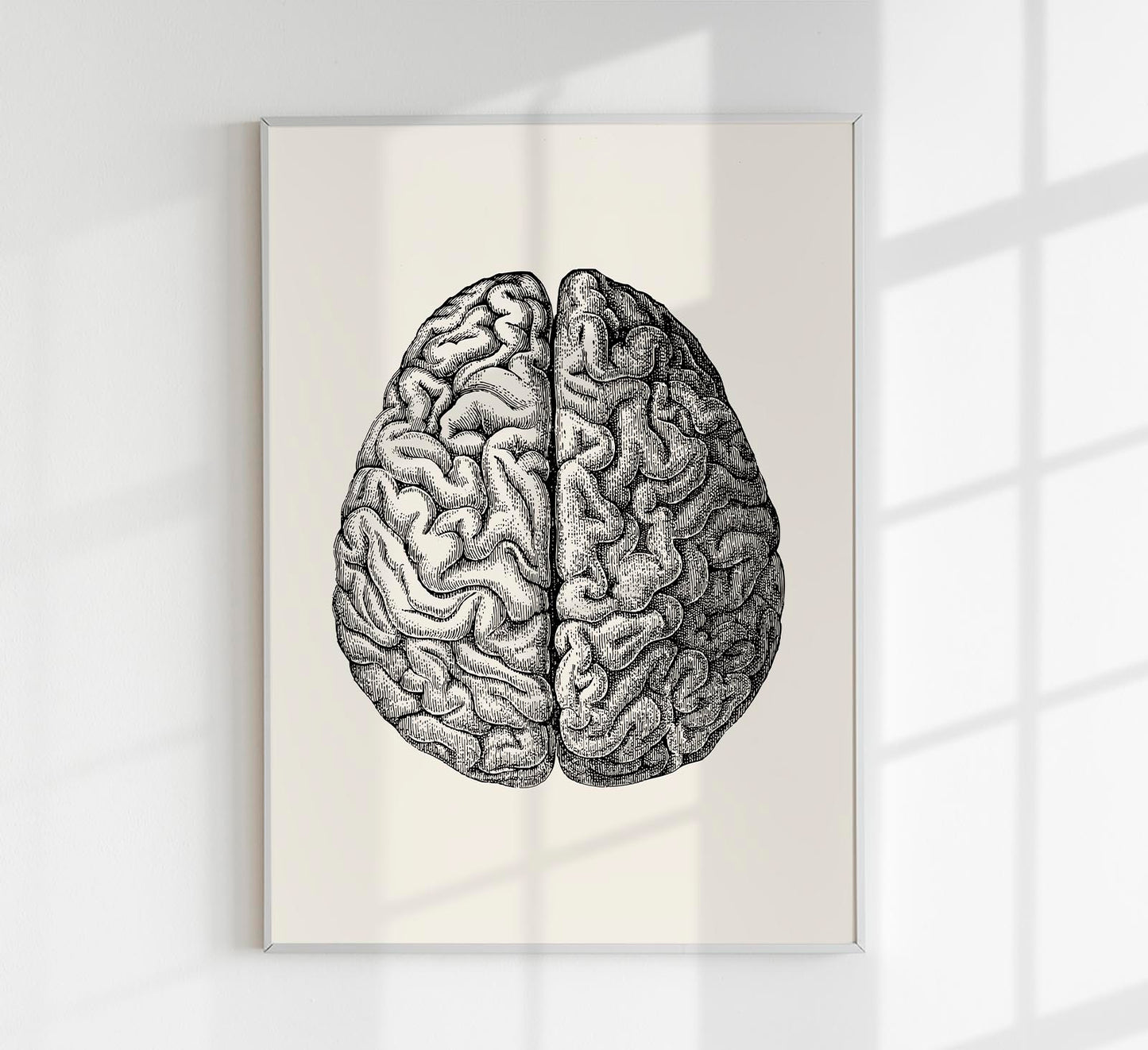 Anatomical Brain Science Poster