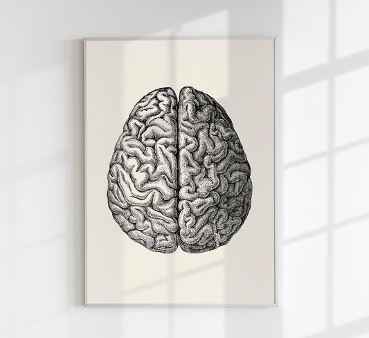 Anatomical Brain Science Poster