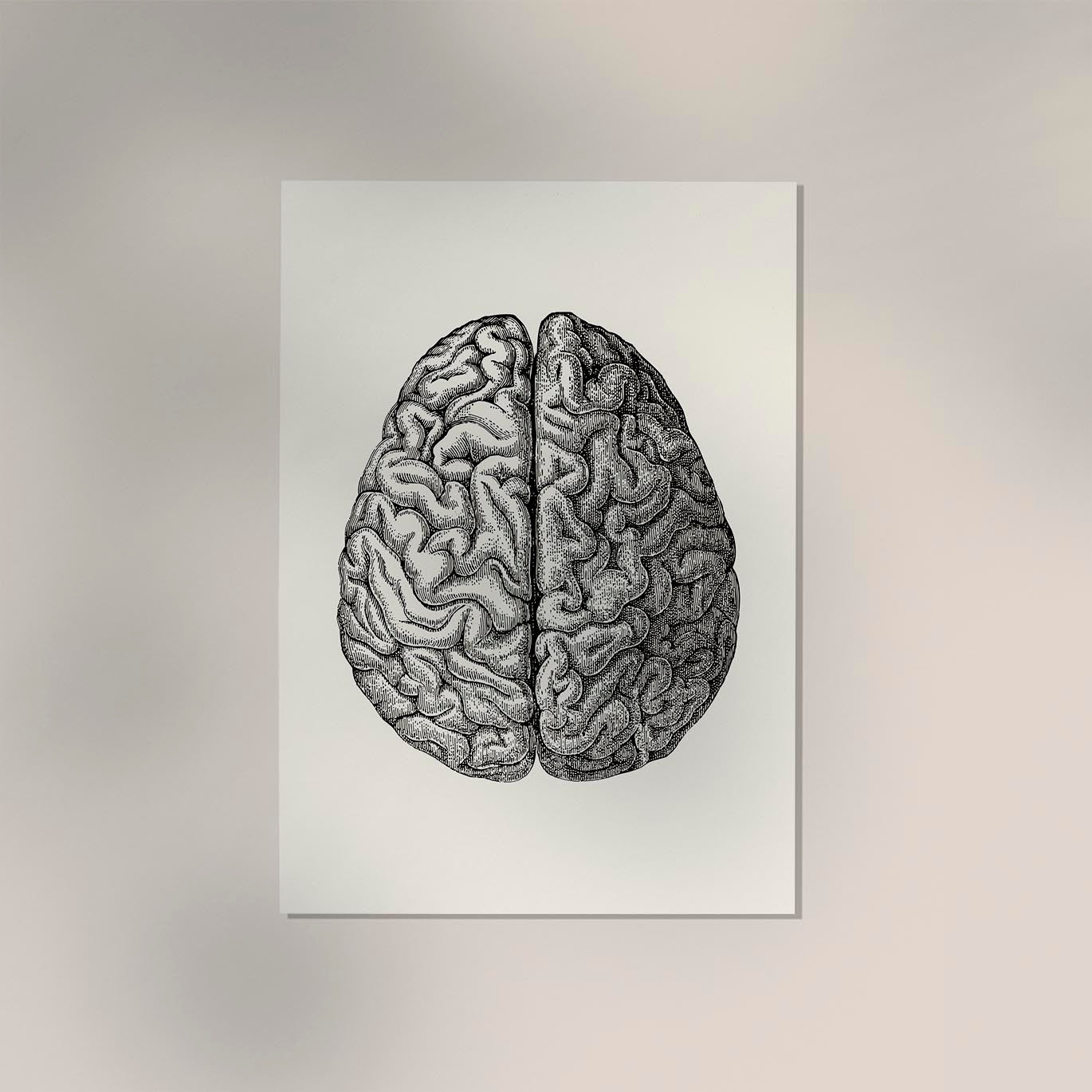 Anatomical Brain Science Poster