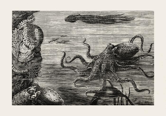 Antique Octopus I Poster