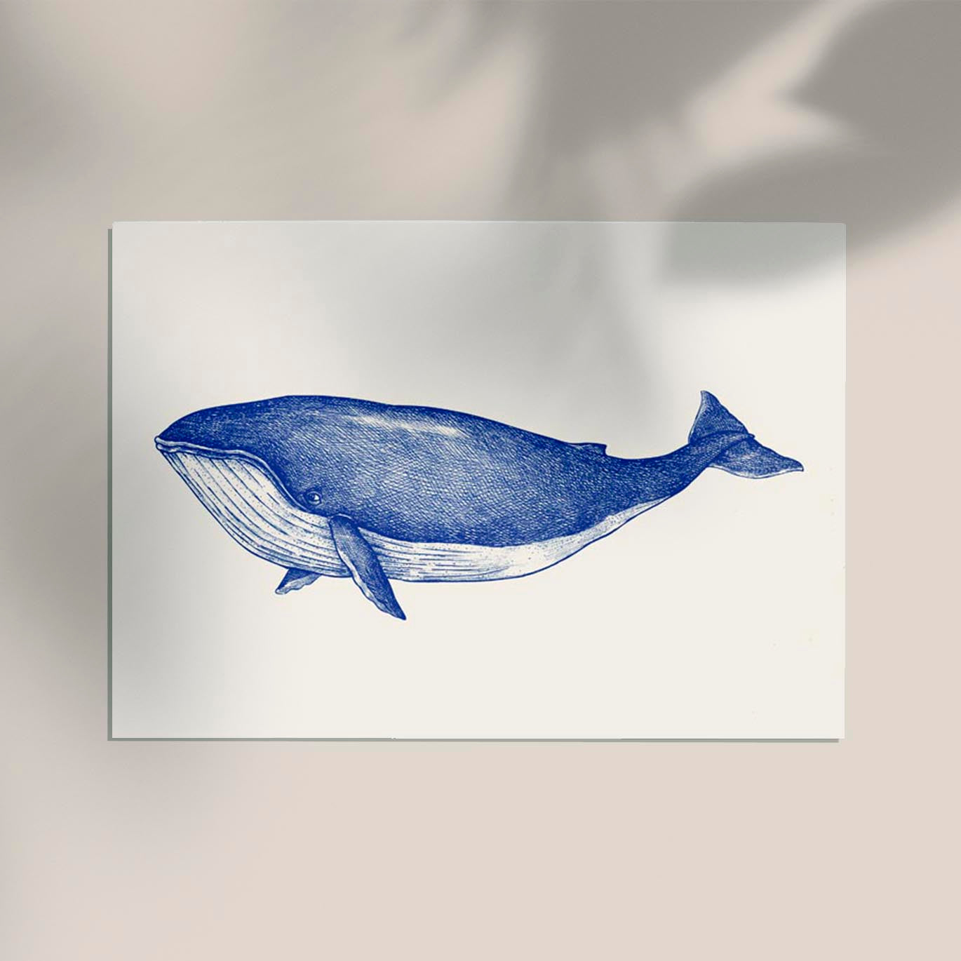 Blue Whale Art Print