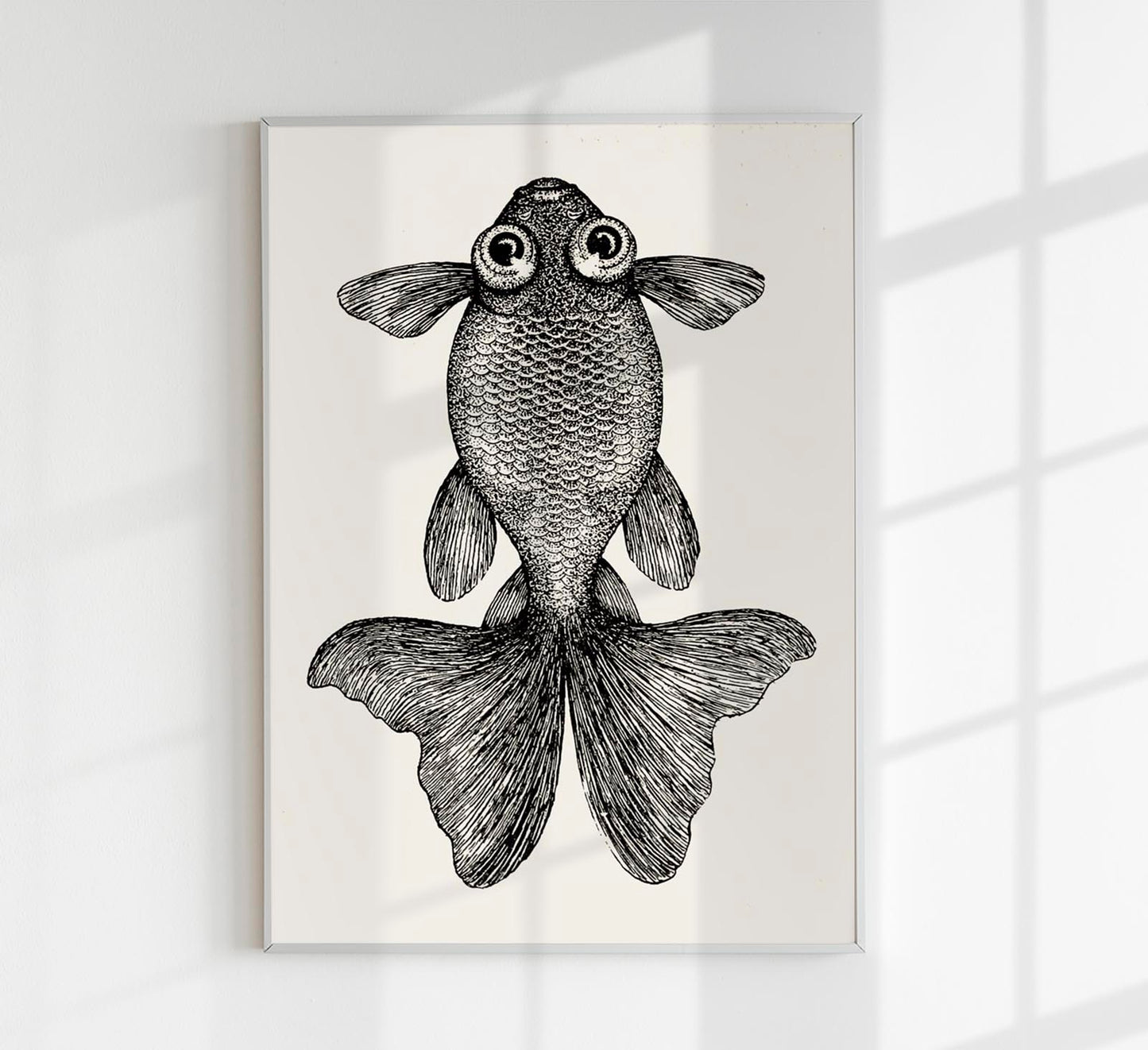 Fish with big eyes Antique Print