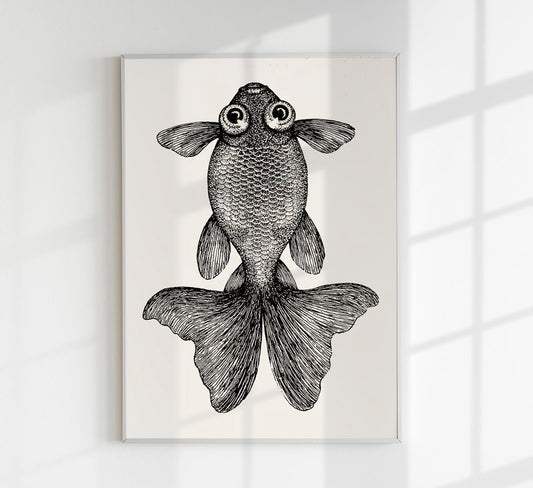 Fish with big eyes Antique Print