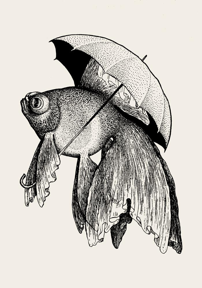 The Umbrella Fish Antique Print